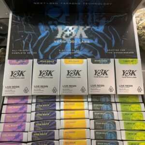 y3k disposable
